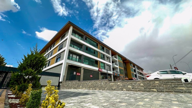 Lavanta — peyzaj düzenlemesi ve giriş aksı
